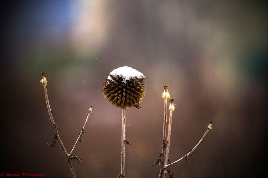 Bild: Wetter-Bild