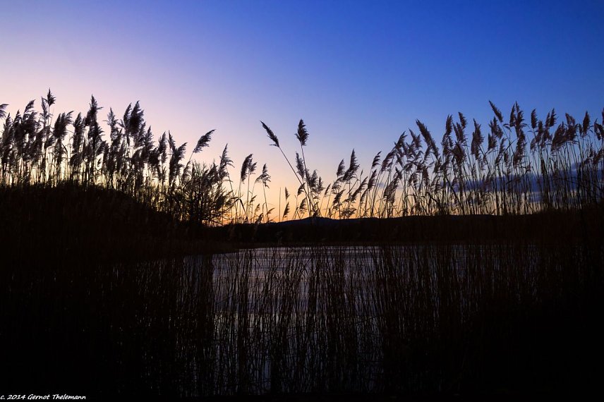 Bild: Walkenrieder Teich am Mittwoch Abend