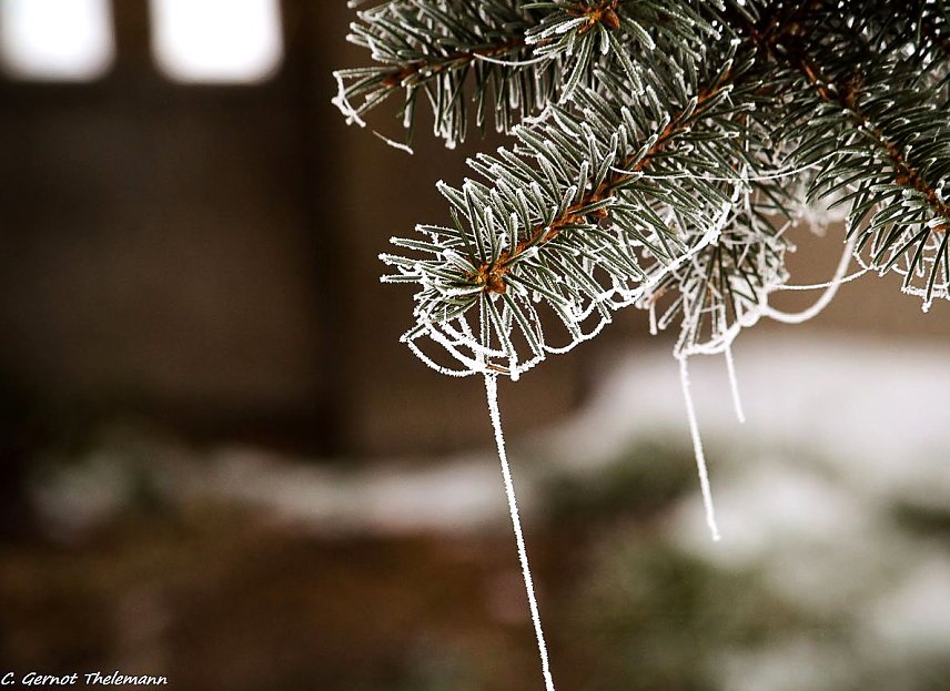 Bild: Wetter-Bild
