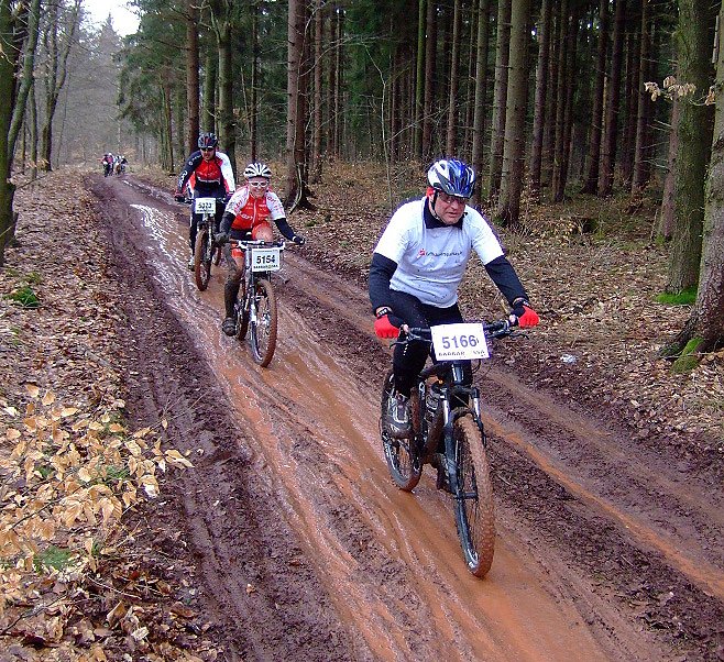Bild: Frische Luft, Natur �
