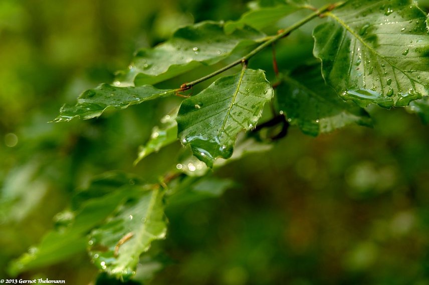 Bild: Wetter-Bild