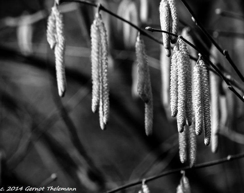 Bild: Wetter-Bild