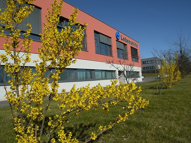 Bild: Lebenshilfe 
