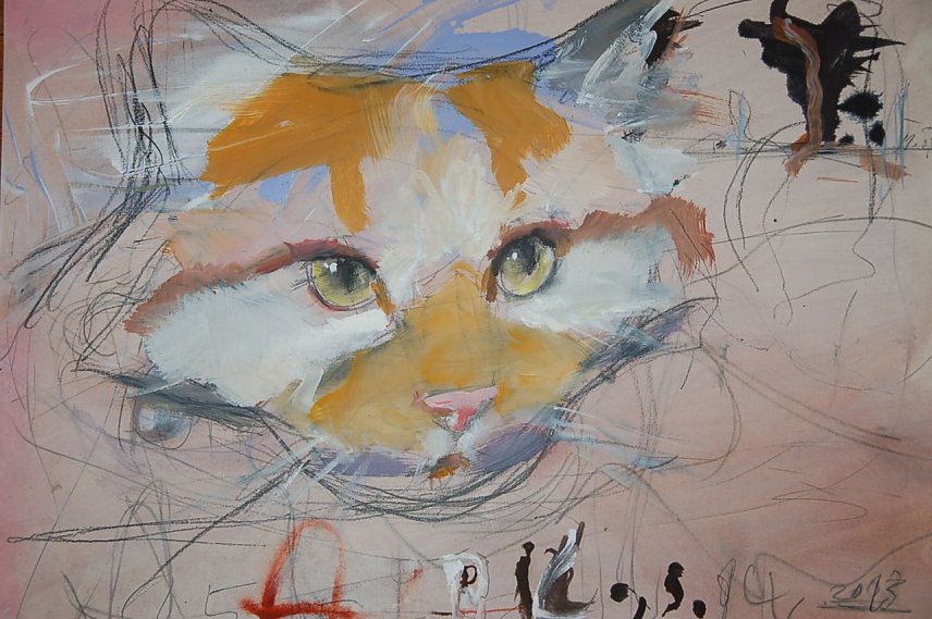 Bild: Katze
