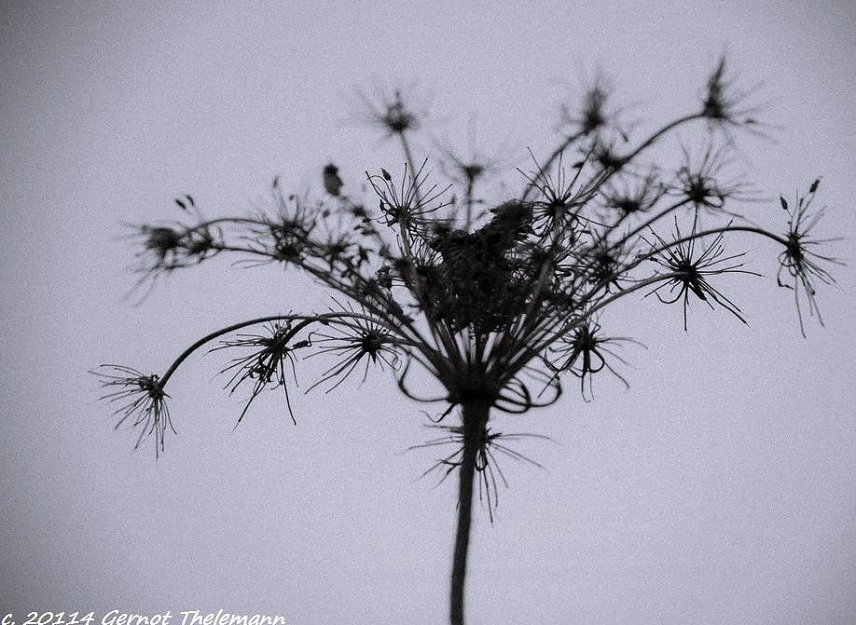 Bild: Wetter-Bild