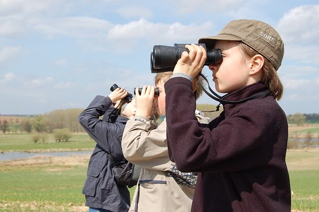 Bild: Mit dem Fernglas unterwegs