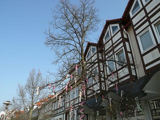 Bild: Fr&uuml;hlingsbaum