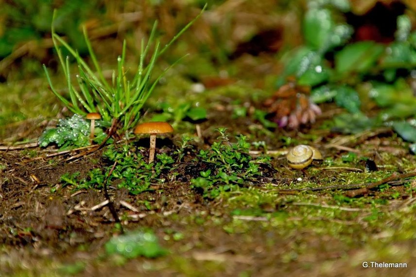 Bild: Wetter-Bild