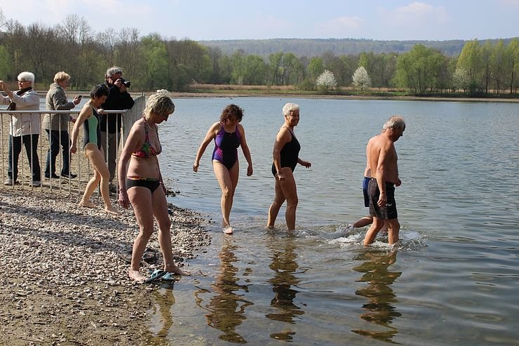 Bild: K&uuml;hl beim Anbaden