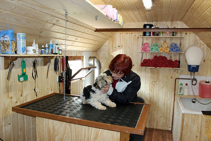 Bild: Hundesalon im Zirkuswagen