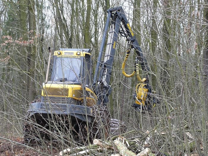 Bild: B&auml;ume m&uuml;ssen weg