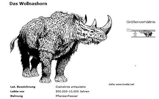 Bild: Grafik 