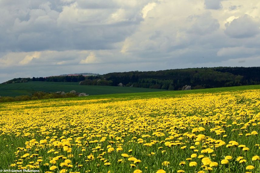 Bild: Wetter-Bild
