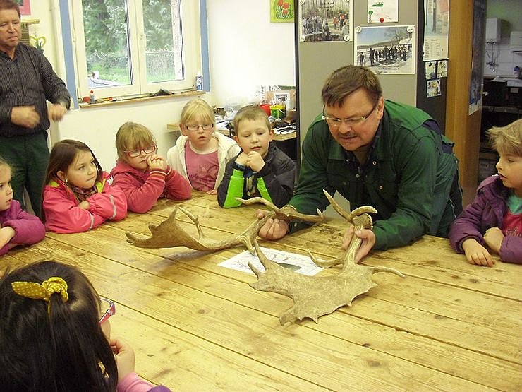 Bild: Das Damwild auf dem Rathsfeld
