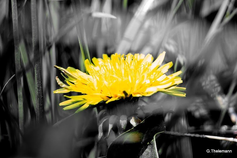 Bild: Wetter-Bild