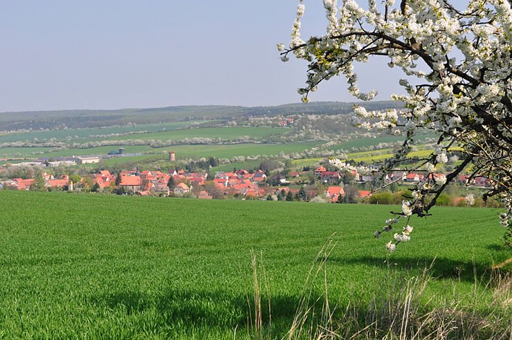 Bild: Hohe Schrecke Erlebnistag