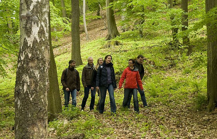 Bild: Hohe Schrecke Erlebnistag