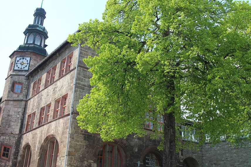 Bild: Mehr Gr&uuml;n f&uuml;r die Stadt