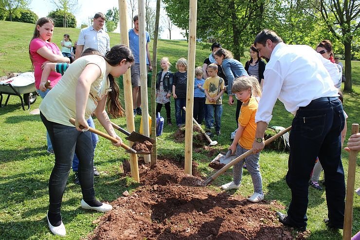 Bild: Zum Fest einen Baum gepflanzt