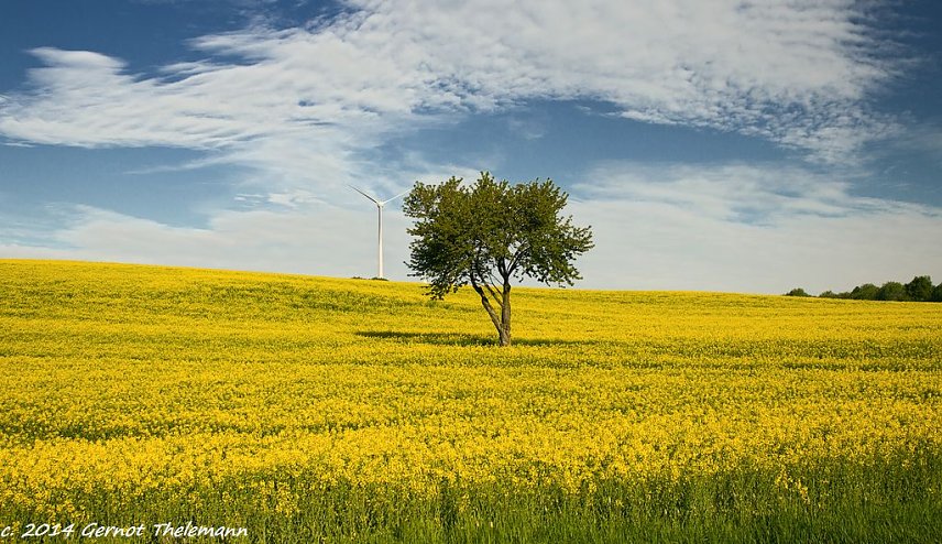 Bild: Wetter-Bild