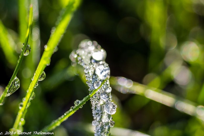 Bild: Wetterbild