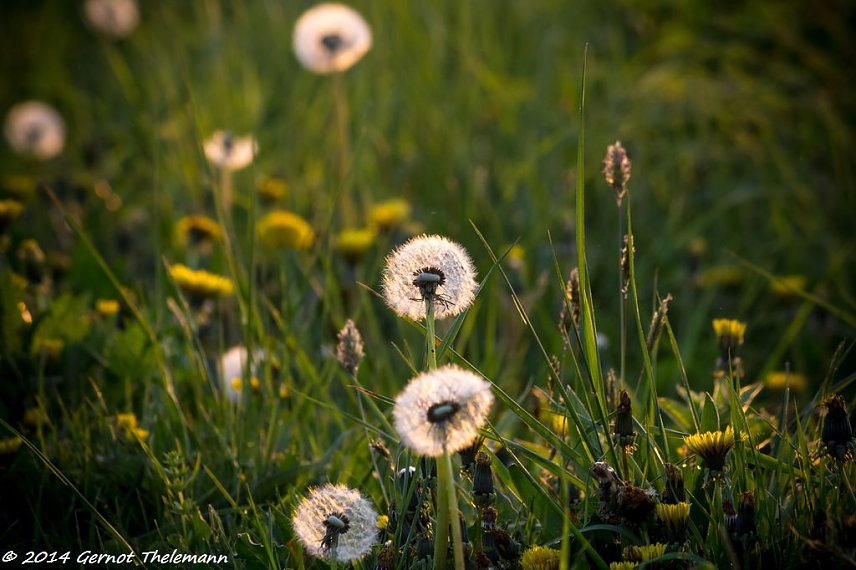 Bild: Wetter-Bild