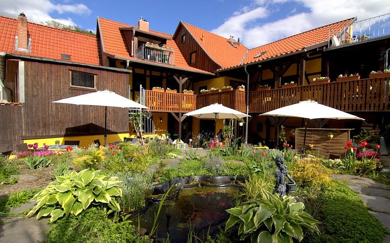 Bild: Blick in den Garten