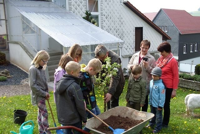 Bild: Baum pflanzen