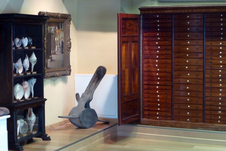 Bild: Blick auf den Schrank