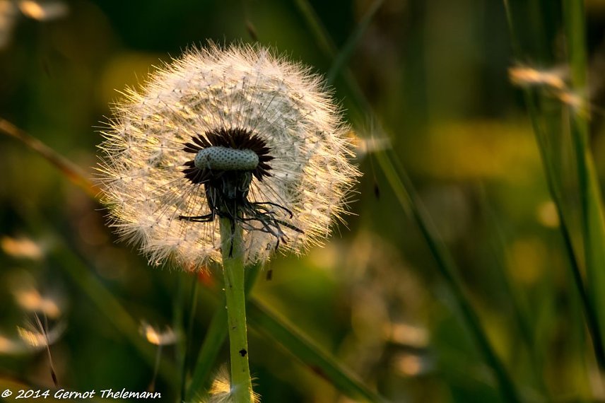 Bild: Wetter-Bild