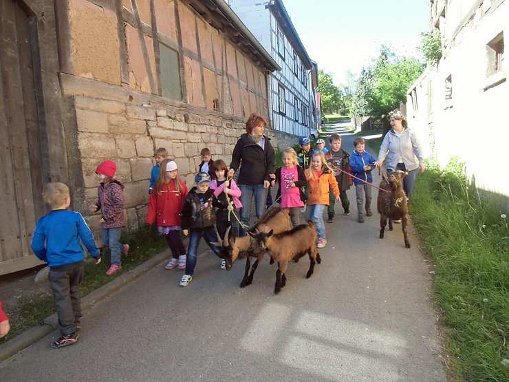 Bild: Abschlussfahrt der Schulanf&auml;nger