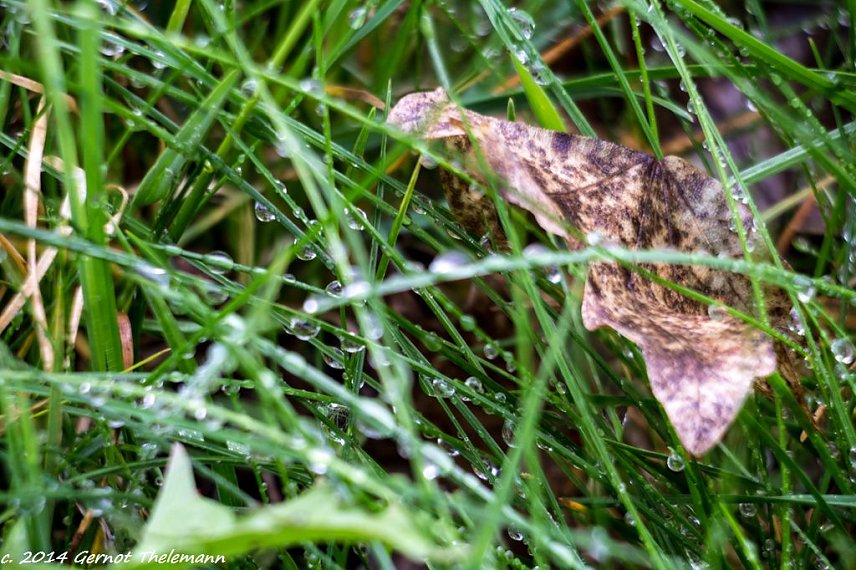 Bild: Wetter-Bild