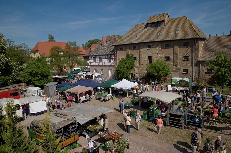 Bild: Bauernmarkt in Braunsroda