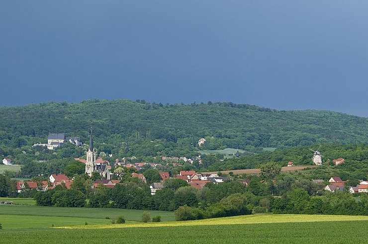 Bild: Kulinarische Radtour