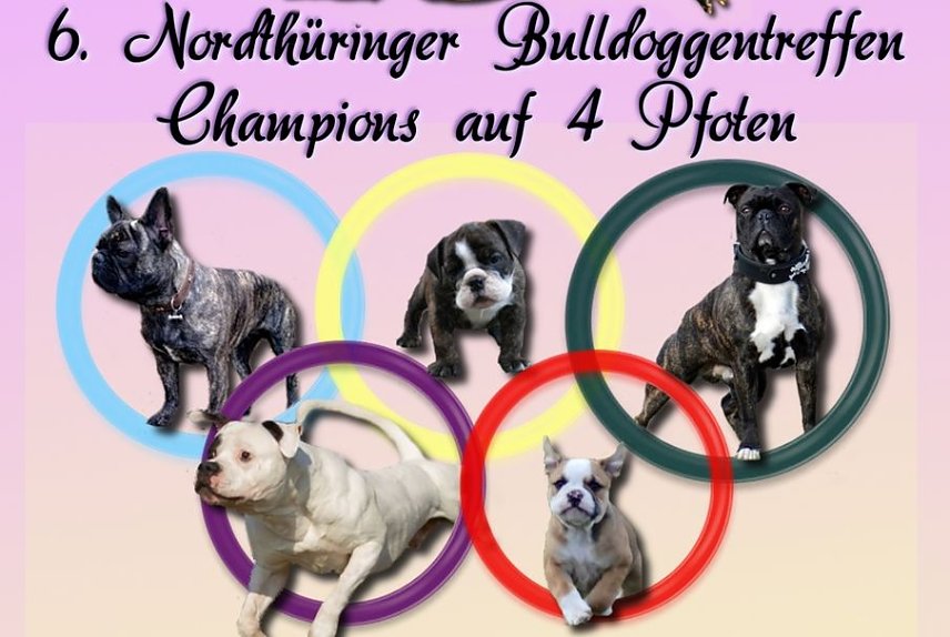 Bild: Champions gesucht