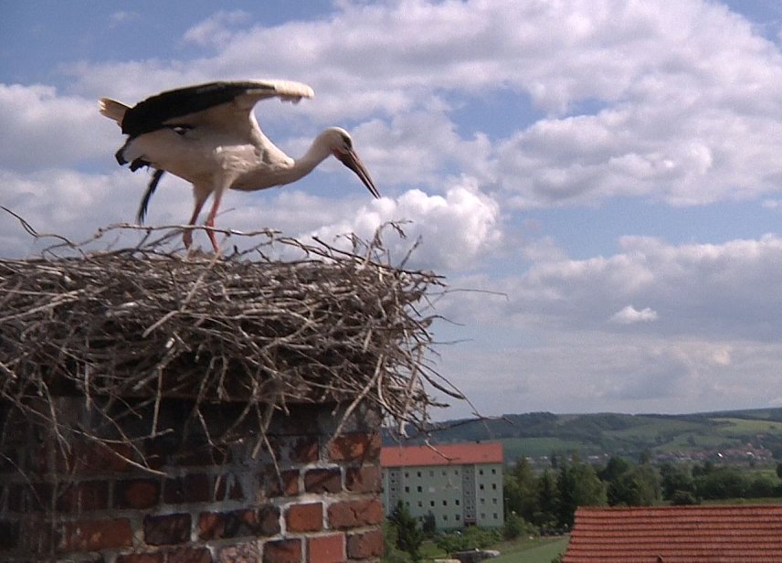 Bild: Hoch oben