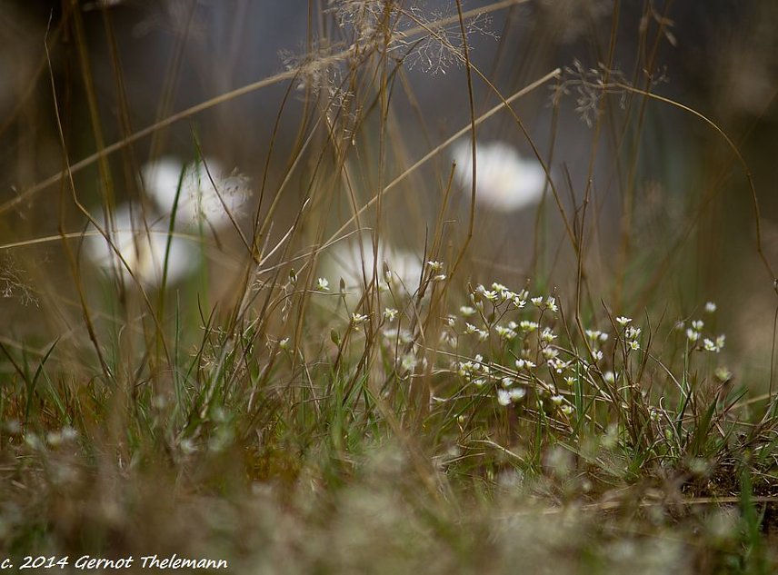 Bild: Wetter-Bild