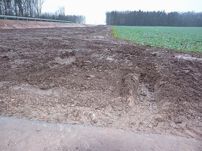 Bild: Spur im Schlamm
