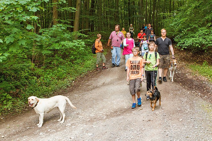 Bild: Der Tag des Hundes...