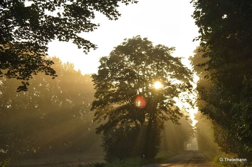 Bild: Wetter-Bild