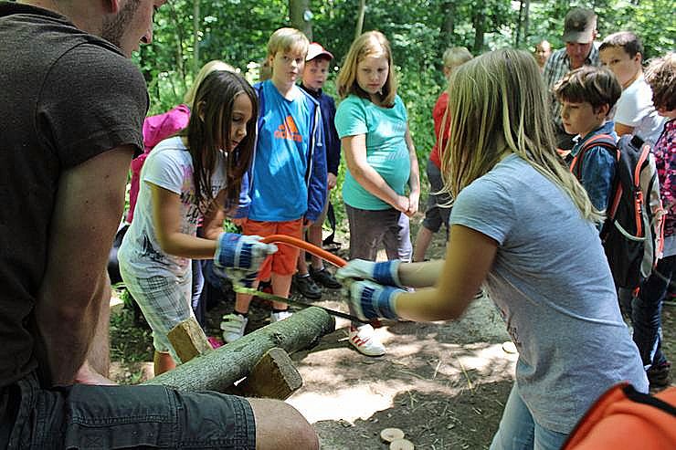 Bild: Waldjugendspiele am Rathsfeld