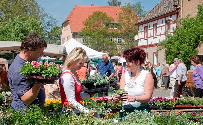 Bild: Thema Streuobstwiesen