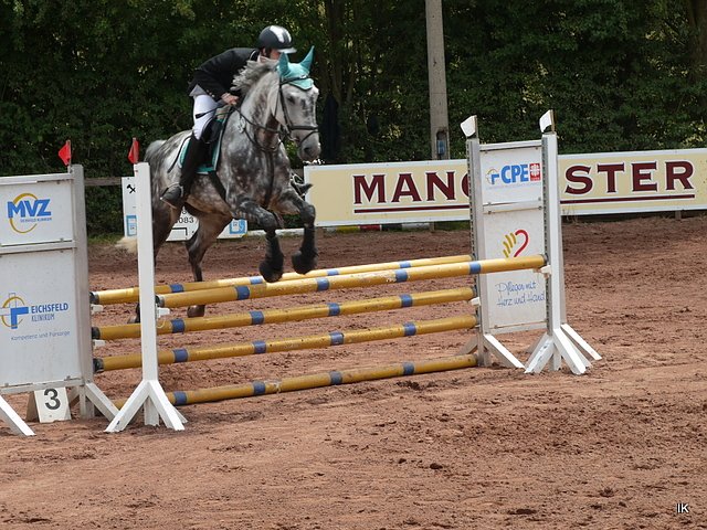 Bild: Reitturnier in Uder