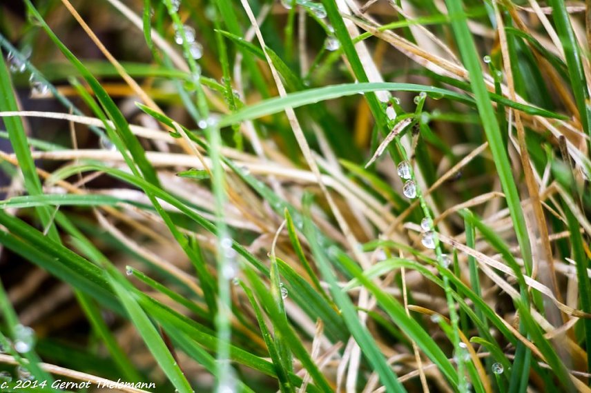Bild: Wetter-Bild