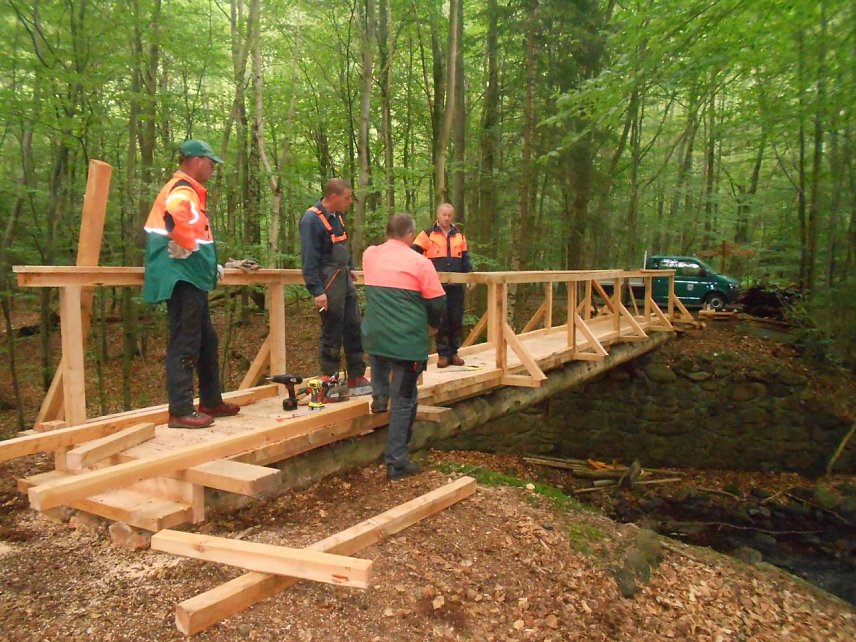 Bild: Die Nationalpark-Forstwirte des Reviers Ilsenburg bei Bau der von ihnen errichteten Br&uuml;cke, von links. Ralf Grahmann, Marzel Drube, Martin Baumbach und Klaus-Dieter Kahn