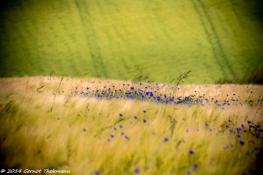 Bild: Wetter-Bild