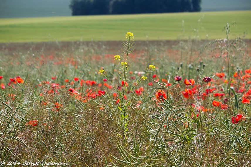 Bild: Wetter-Bild