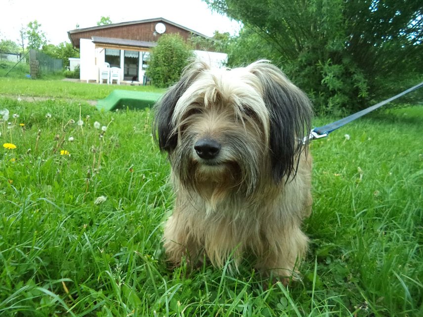 Bild: Kira