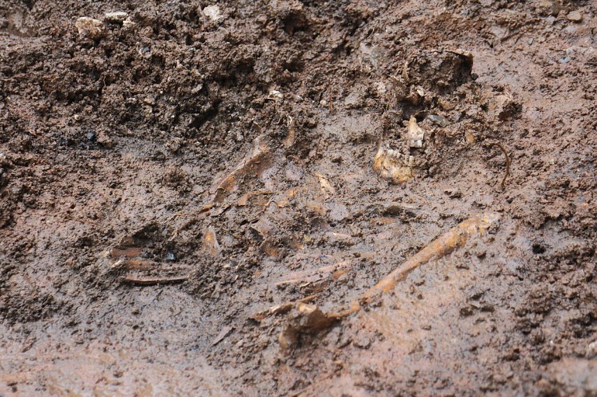 Bild: Menschliche &Uuml;berreste an Blasii-Kirche entdeckt