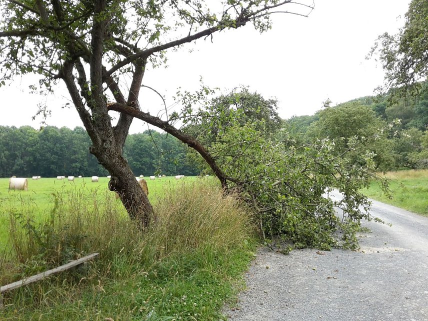 Bild: Abgebrochen